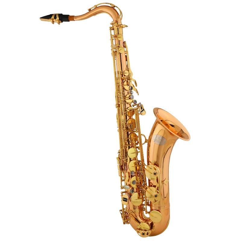 JBTS-1010降B調(diào)次中音薩克斯85銅薩克斯   價(jià)格  ￥6900.00              JBTS-1010調(diào)性：Bb材質(zhì)：85銅表面處理：漆金號口直徑：159.6mm